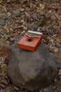 Kalimba or Hand Piano on stone and dry leaves background. Kalimba an African musical Instrument on Rock