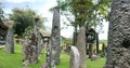 Kalimbuang bori planting stone tourism in Toraja land