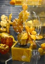 KALININGRAD REGION, RUSSIA. Flowering amber cactus in the museum exhibition. Kaliningrad Amber Plant