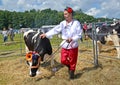 KALININGRAD REGION, RUSSIA. The male cattle breeder leashes a cow of black and motley breed. Agricultural holiday