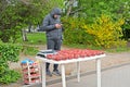 KALININGRAD, RUSSIA. Illegal trade in strawberry on the city street