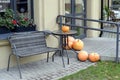 Autumn installation with pumpkins at a cafe on Pobedy Avenue in Kaliningrad Royalty Free Stock Photo