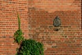 Kaliningrad, Russia - september 30, 2020: Memorial sign in honor of Peter 1 on the wall Konigsberg Cathedral