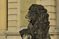Kaliningrad, Russia - september 30, 2020: Sculpture of a lion on the porch of Koenigsberg Stock exchange. Kaliningrad, Kenigsberg