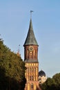 Kaliningrad, Russia - september 30, 2020: Tower of Koenigsberg Cathedral, Gothic temple of the 14th century. Symbol of Kaliningrad Royalty Free Stock Photo