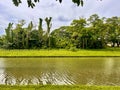 Kallang river flowing beside Woodleigh forest