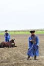 Kalocsa, Hungary - june 26 2023 : horse show Royalty Free Stock Photo