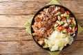 Kalua pork hawaiian food slowly cooked and served with stewed cabbage and fresh salad close-up in a plate. horizontall top view