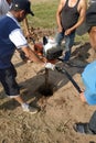 Kaluga, Russia June 11, 2019: manual drilling with the installation of drilling pneumatic shock STIHL