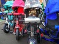 Kaluga Russia 21.04.2019 Selling very small children`s bicycles