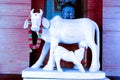 Kamadhenu cow and Calf statue