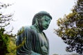 Kamakura Big Buddha Through Trees Royalty Free Stock Photo