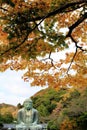 Kamakura Daibutsu in Autumn Royalty Free Stock Photo