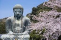 Kamakura Daibutsu with cherry blossoms