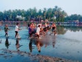 Kambala a tradition south indian bull racing compition