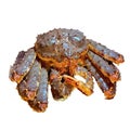 Kamchatka alaska king crab isolated on white background Royalty Free Stock Photo