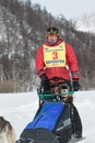 Kamchatka extreme Sled Dog Racing. Russia, Far East Royalty Free Stock Photo