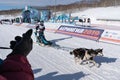 Kamchatka Kids Competitions Dog Sled Racing Dyulin Beringia Royalty Free Stock Photo