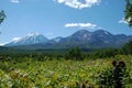 Kamchatka landscape