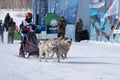 Kamchatka Peninsula Kids Competitions Dog Sled Racing Dyulin Beringia Royalty Free Stock Photo