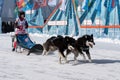 Kamchatka Peninsula Kids Competitions Dog Sled Racing Dyulin Beringia Royalty Free Stock Photo