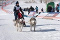 Kamchatka Peninsula Kids Competitions Dog Sled Racing Dyulin Beringia Royalty Free Stock Photo