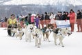 Kamchatka Sledge Dog Race Beringia. Russia, Far East