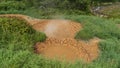 Kamchatka. twin mud cauldrons in the valley of geysers