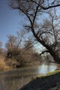 Kamchia river in autumn