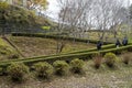 Autumn scenery at Kameiwa Cave and Nomizo Waterfall