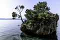 Kamen Brela - Tiny famous island in Brela, Makarska Riviera, Dalmatia, Croatia Royalty Free Stock Photo