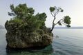 Kamen Brela - Tiny famous island in Brela, Makarska Riviera, Dalmatia, Croatia Royalty Free Stock Photo