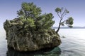 Kamen Brela - Tiny famous island in Brela
