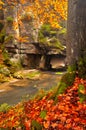 Kamenica river during autumn with red leaves