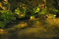 Kamenice river in Soutesky valley in National park Czech Switzerland near Hrensko village in spring sunset on 03rd June 2019