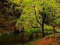 Kamenice river