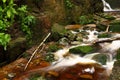 KamieÃâczyk, water, stream, stones, reflections, nature