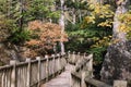 Kamikochi nature trails with tree in forrest during autumn season by Wooden walkpath