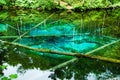 Kaminoko-ike, Pond Child of God Kiyosato Town, Eastern Hokkaido