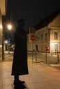 The silhouette of the General Rudolf Meister in Kamnik by night