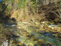 Kamniska Bistrica river in Kamnik-Savinja alps, Slovenia