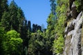 Kamnitz gorge, Bohemia, Czech Republic Royalty Free Stock Photo