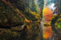 Kamnitz Gorge in Saxon switzerland national park Royalty Free Stock Photo