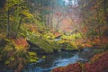 The Kamnitz Gorge in Saxon switzerland national park in Czech republic on the Kamenice River, Bohemian Switzerland.