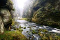 Kamnitz Gorge in Saxon switzerland national park Royalty Free Stock Photo