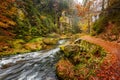 Kamnitz Gorge in Saxon switzerland national park Royalty Free Stock Photo