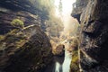 Kamnitz Gorge in Saxon switzerland national park Royalty Free Stock Photo