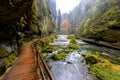 Kamnitz Gorge in Saxon switzerland national park Royalty Free Stock Photo