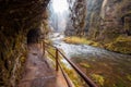 Kamnitz Gorge in Saxon switzerland national park Royalty Free Stock Photo