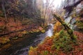 Kamnitz Gorge in Saxon switzerland national park Royalty Free Stock Photo